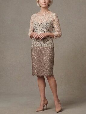 Tadashi Shoji Womens Cream & Taupe Lace Cocktail Dress